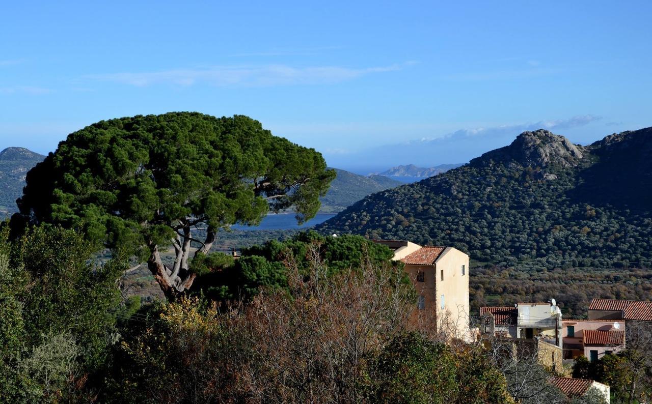Casa Theodora - Hotel De Charme Et Caractere Muro  Exteriér fotografie